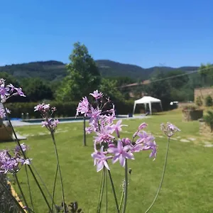 Bed and breakfast Alba Morus Bed E Breakfast Sentiti A Casa Nel Cuore Della Toscana, Arezzo